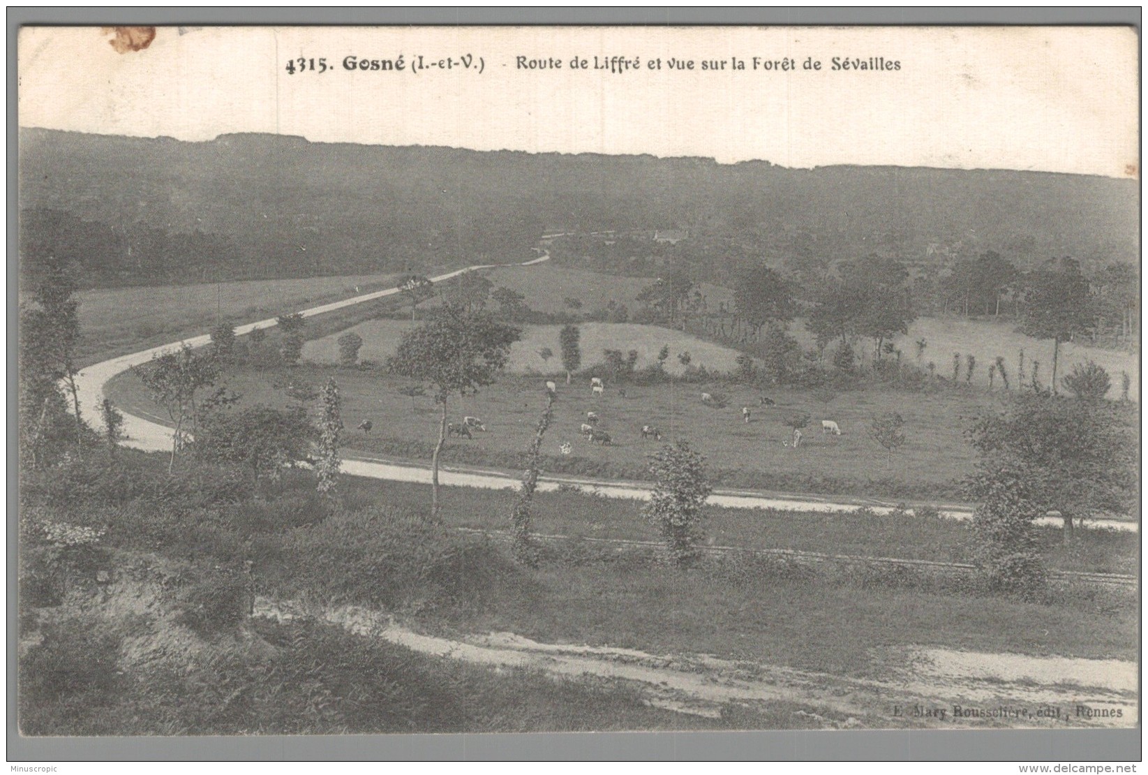 CPA 35 - Gosné - Route De Liffré Et Vue Sur La Foret De Sévailles - Other & Unclassified