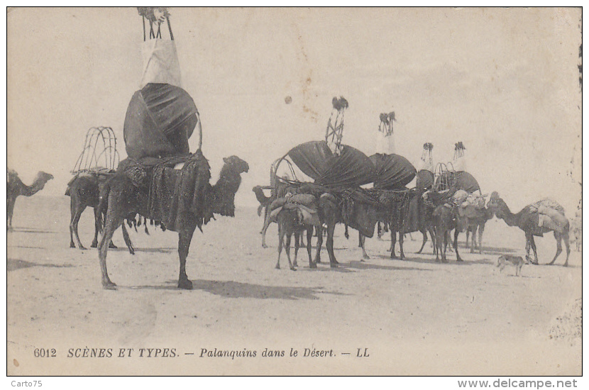 Ethniques Et Cultures - Maghreb - Palanquins Dans Le Désert - Dromadaires - Africa