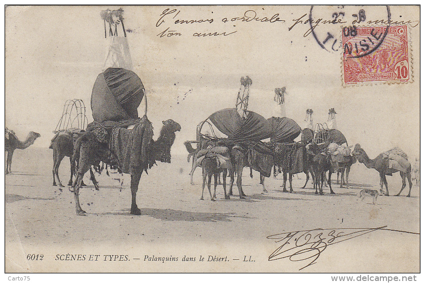 Ethniques Et Cultures - Maghreb - Palanquins - Cachet 1908 - Afrique