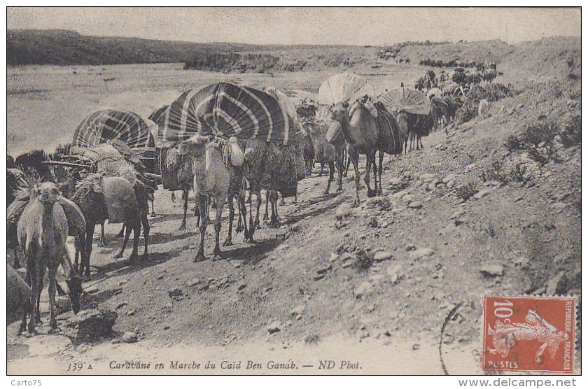 Ethniques Et Cultures - Maghreb - Caravane Du Caïd Ben Ganab - 1911 - Afrique
