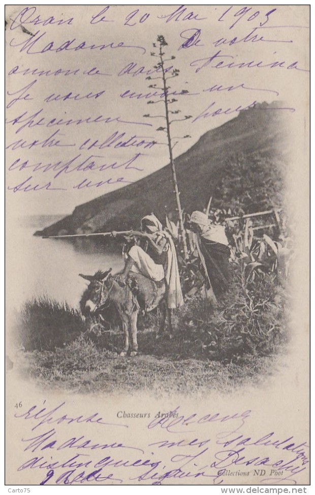 Ethniques Et Cultures - Maghreb - Chasseurs Arabes - Chasse Ane - 1903 - Afrique