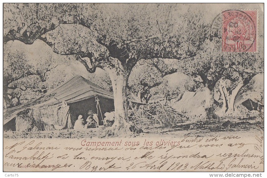 Ethniques Et Cultures - Maghreb - Campement Suos Les Oliviers - 1903 Cachet Postal Bizerte Laval Mayenne - Africa