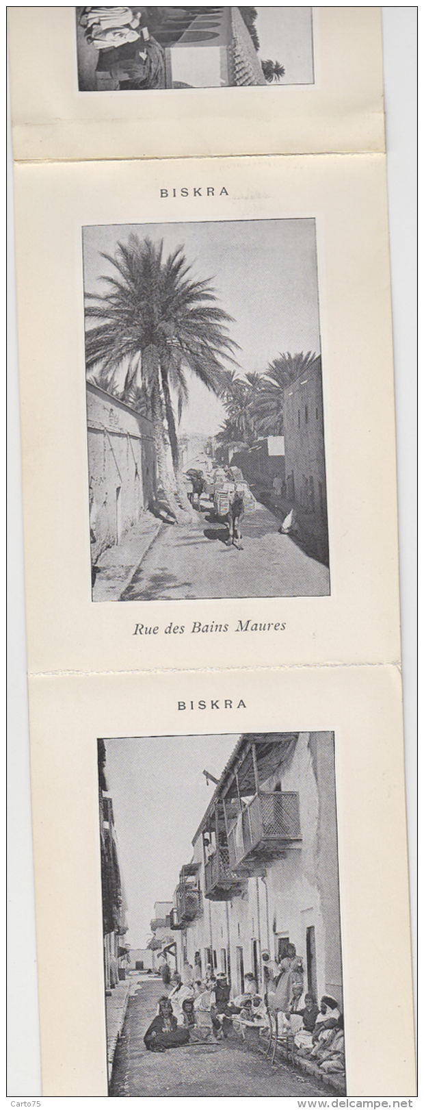 Afrique - Algérie - Carnet Dépliant Du Sahara Algérien - Biskra Batna - Scènes & Types