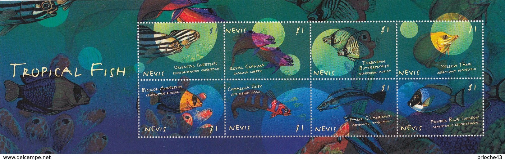 ST KITTS ET NEVIS -  BLOC - TROPICAL FISH  -  MNH** / TBS - St.Kitts-et-Nevis ( 1983-...)