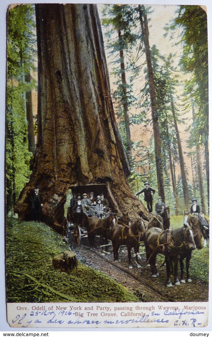GOV . ODELL OF NEW YORK AND PARTY , PASSING THROUGH WAWONA MARIPOSA BIG THE GROVE - CALIFORNIA - Yosemite