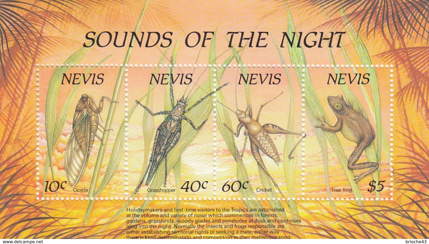 NEVIS - BLOC FEUILLET SOUNDS OF THE NIGHT INSECTS & FROGS 1989 - MNH**  /2 - St.Kitts Und Nevis ( 1983-...)