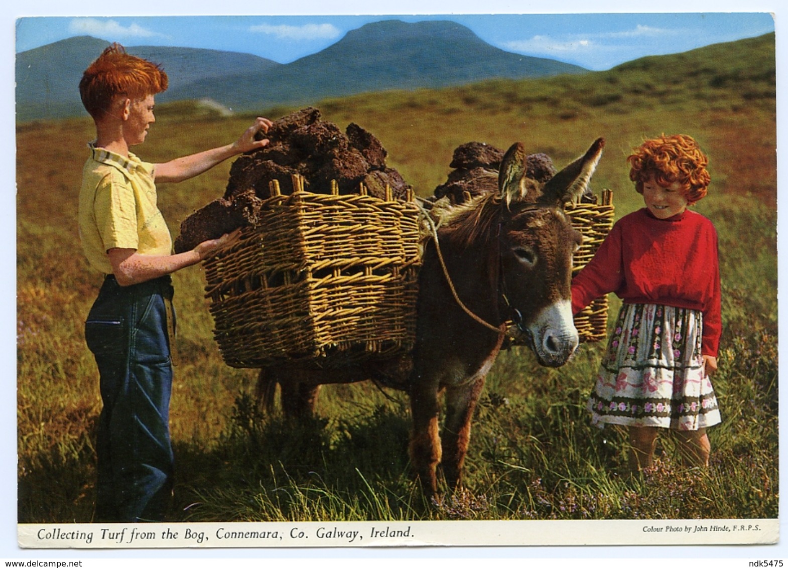 COLLECTING TURF FROM THE BOG, CONNEMARA, CO. GALWAY, IRELAND (JOHN HINDE) - Galway