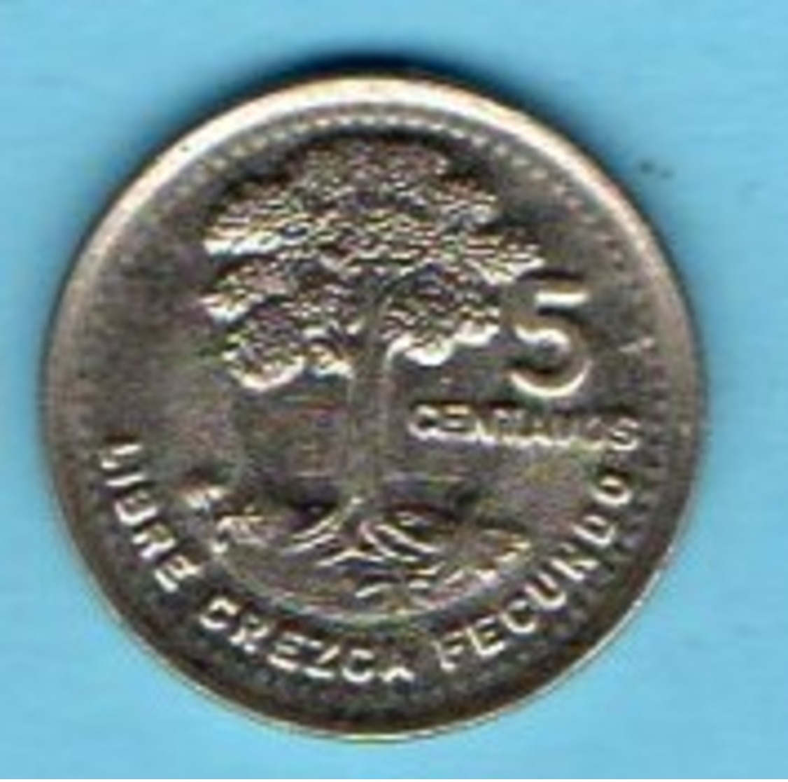 (r65)  GUATEMALA  5 Centavos 1992 Km#276;4 - Guatemala