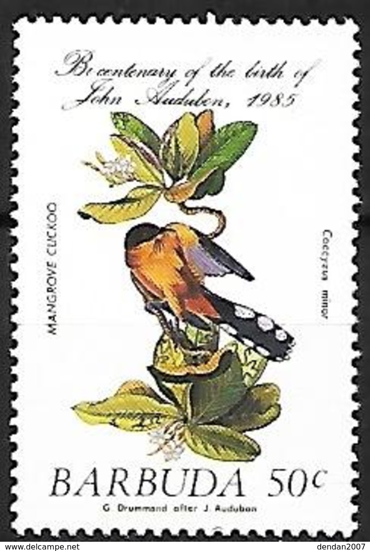 Barbuda 1985 - MNH - Mangrove Cuckoo (Coccyzus Minor) - Coucous, Touracos