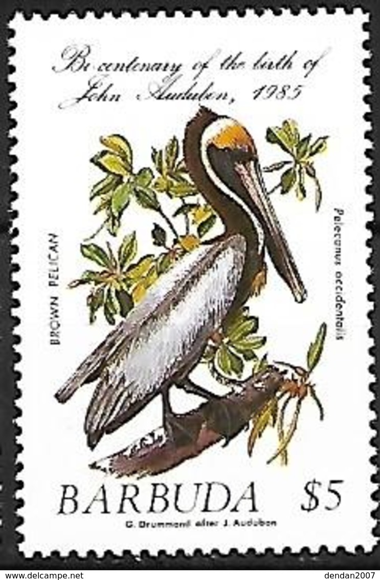 Barbuda 1985 - MNH - Brown Pelican (Pelecanus Occidentalis) - Pelícanos