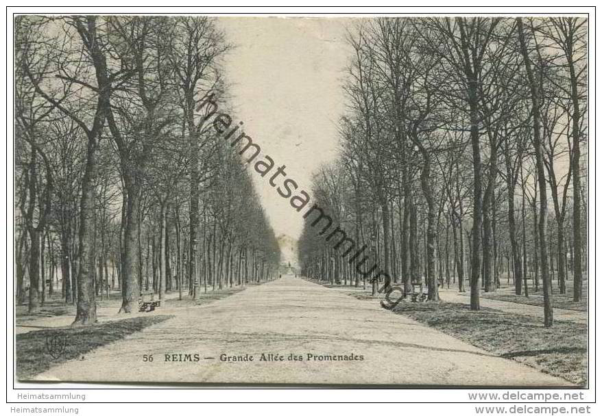 Reims - Grande Allee Des Promenades - Reims