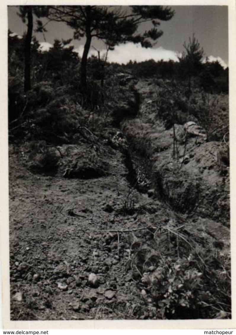 LOT DE 36 PHOTOS DE COCHINCHINE - SAIGON ET ENVIRONS A IDENTIFIER - Lieux