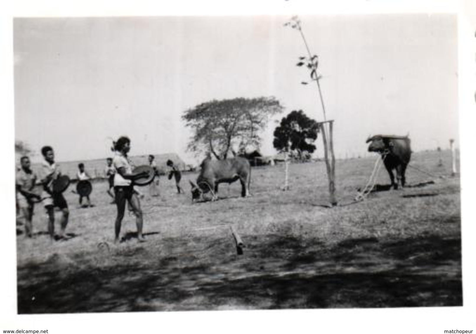 LOT DE 40 PHOTOS DE COCHINCHINE - SAIGON ET ENVIRONS A IDENTIFIER - ANNEE 1955