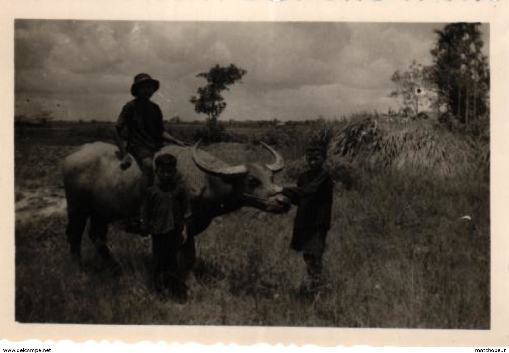 LOT DE 40 PHOTOS DE COCHINCHINE - SAIGON ET ENVIRONS A IDENTIFIER - ANNEE 1955