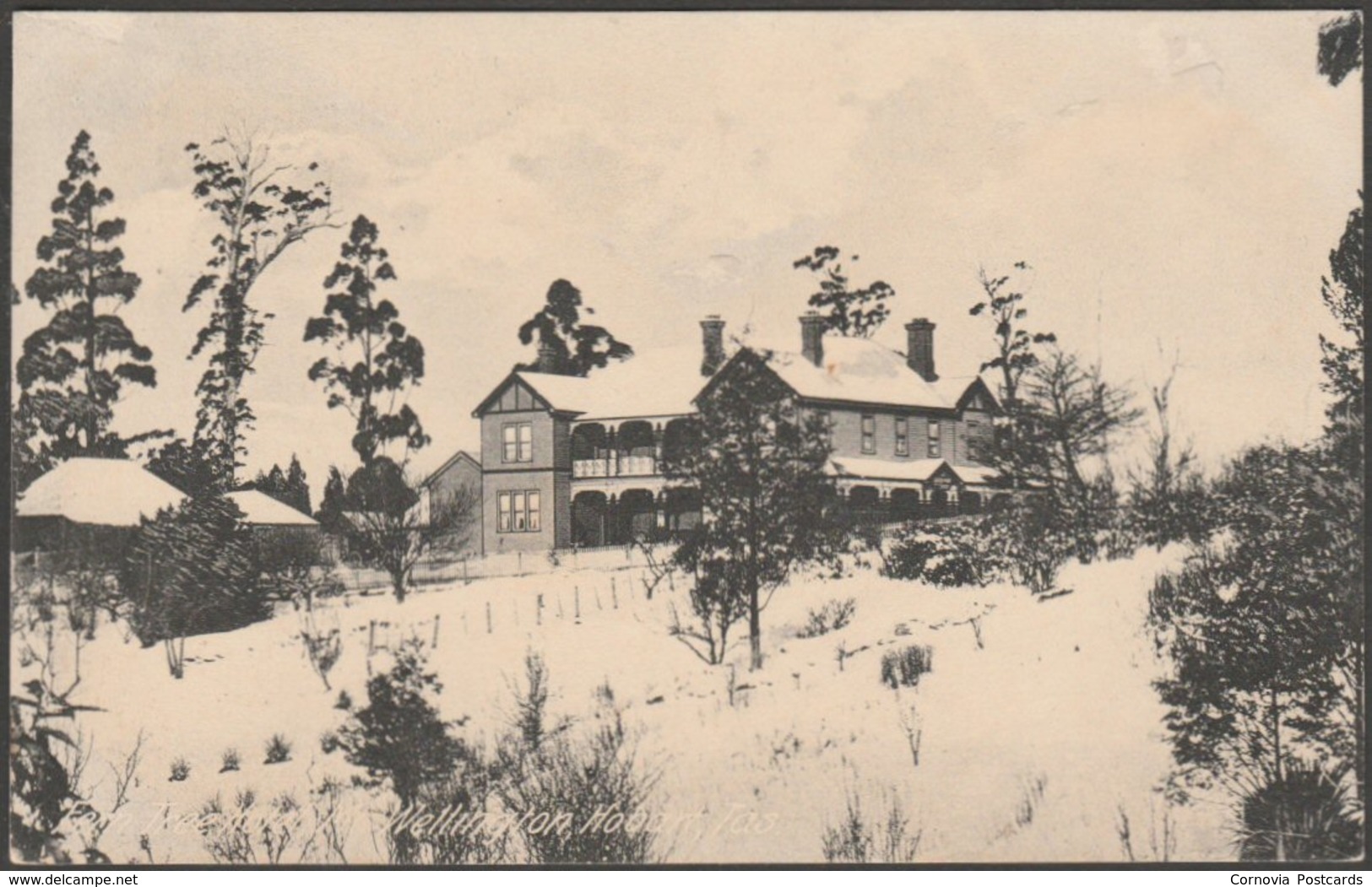 Fern Tree Hotel, Mt Wellington, Hobart, Tasmania, C.1905-10 - Mather & Co Postcard - Hobart