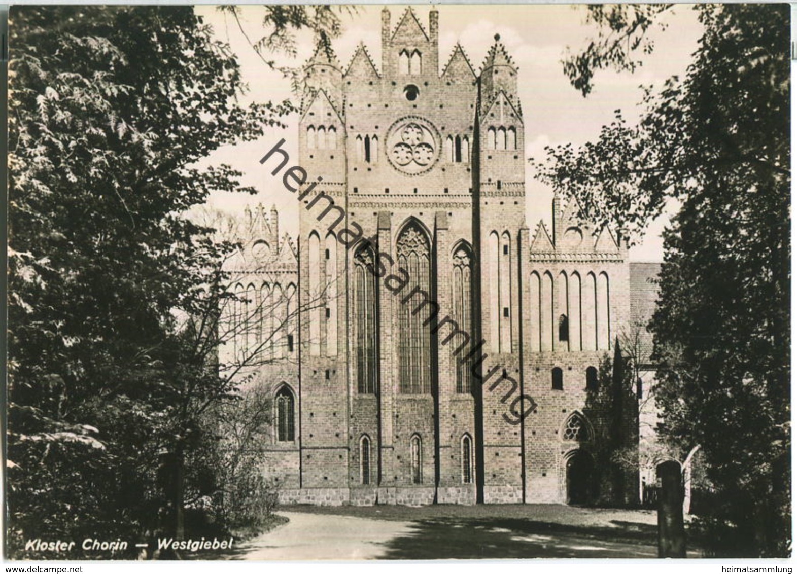 Kloster Chorin - Westgiebel - Foto-Ansichtskarte Grossformat - Handabzug - Verlag Rotophot Bestensee 60er Jahre - Chorin