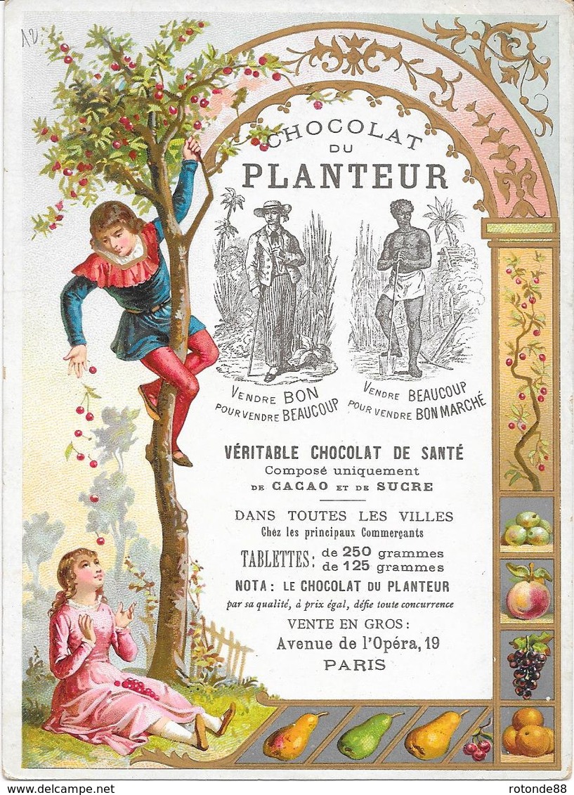 CHOCOLAT  LE PLANTEUR - CARTE GRAND MODELE 12 - Chocolat