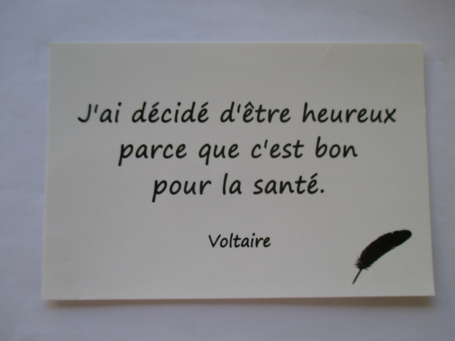 Voltaire  " J'ai Décidé D'être Heureux Parce Que C'est Bon Pour La Santé " - Ecrivains