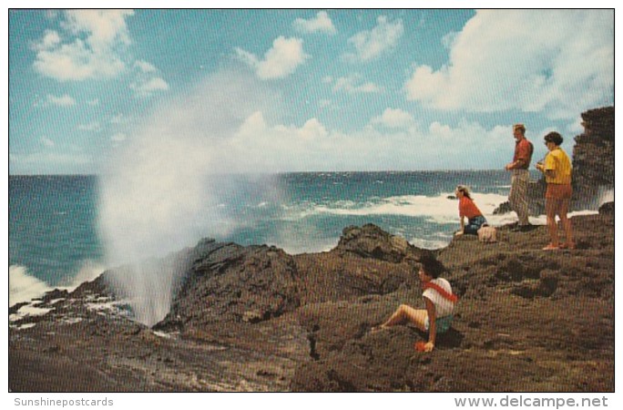 Hawaii Oahu The Blow Hole - Oahu