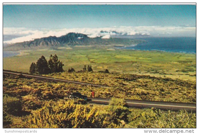 Hawaii West Maui Sugar Cane And Pineapple Fileds - Maui