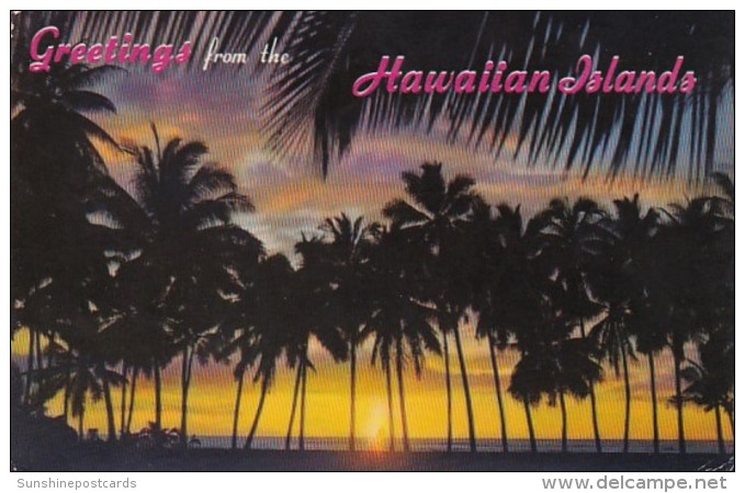 Hawaii Greetings With Sunset Through The Palms 1967 - Oahu