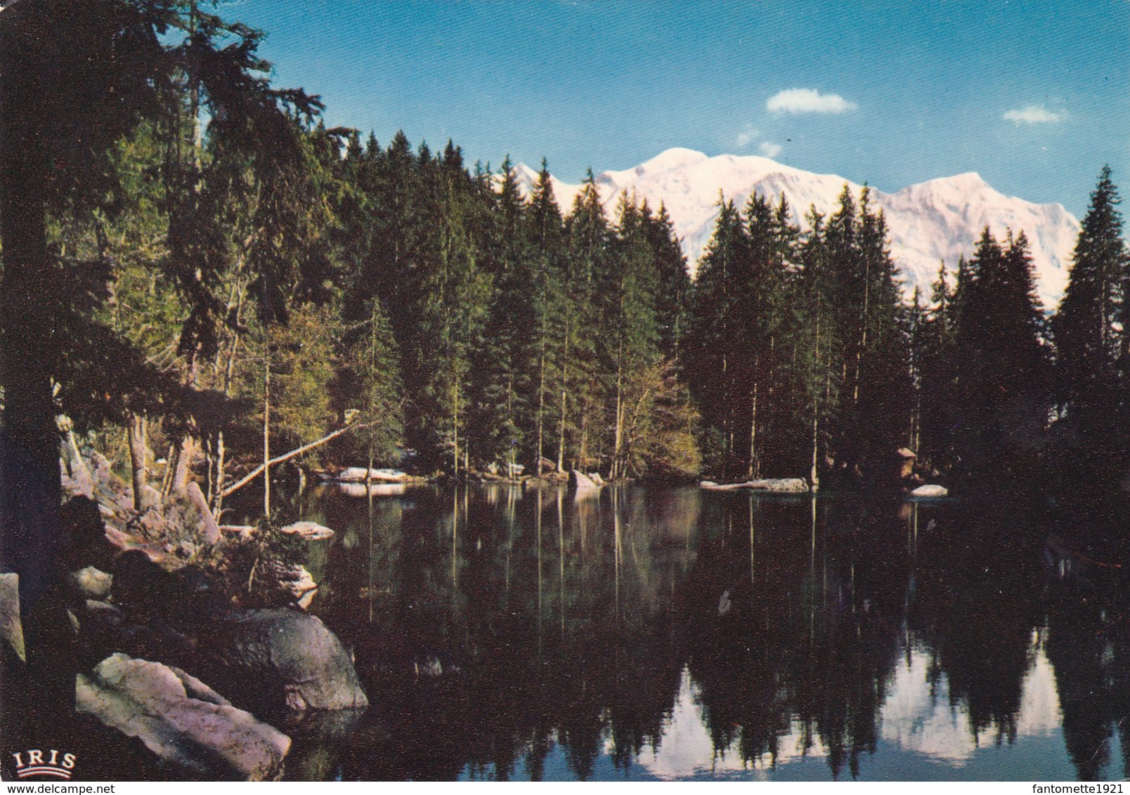 LE LAC VERT REFLET DU MONT BLANC (dil379) - Chamonix-Mont-Blanc