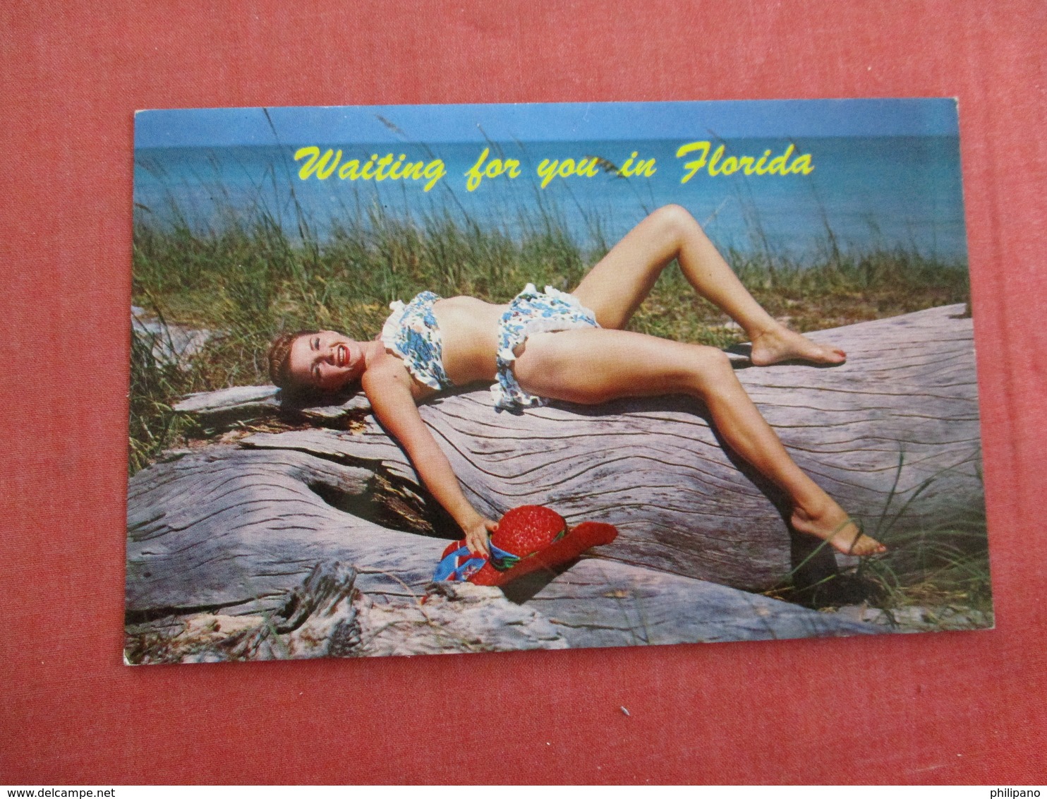 Waiting For You In Florida     Ref 3007 - Pin-Ups