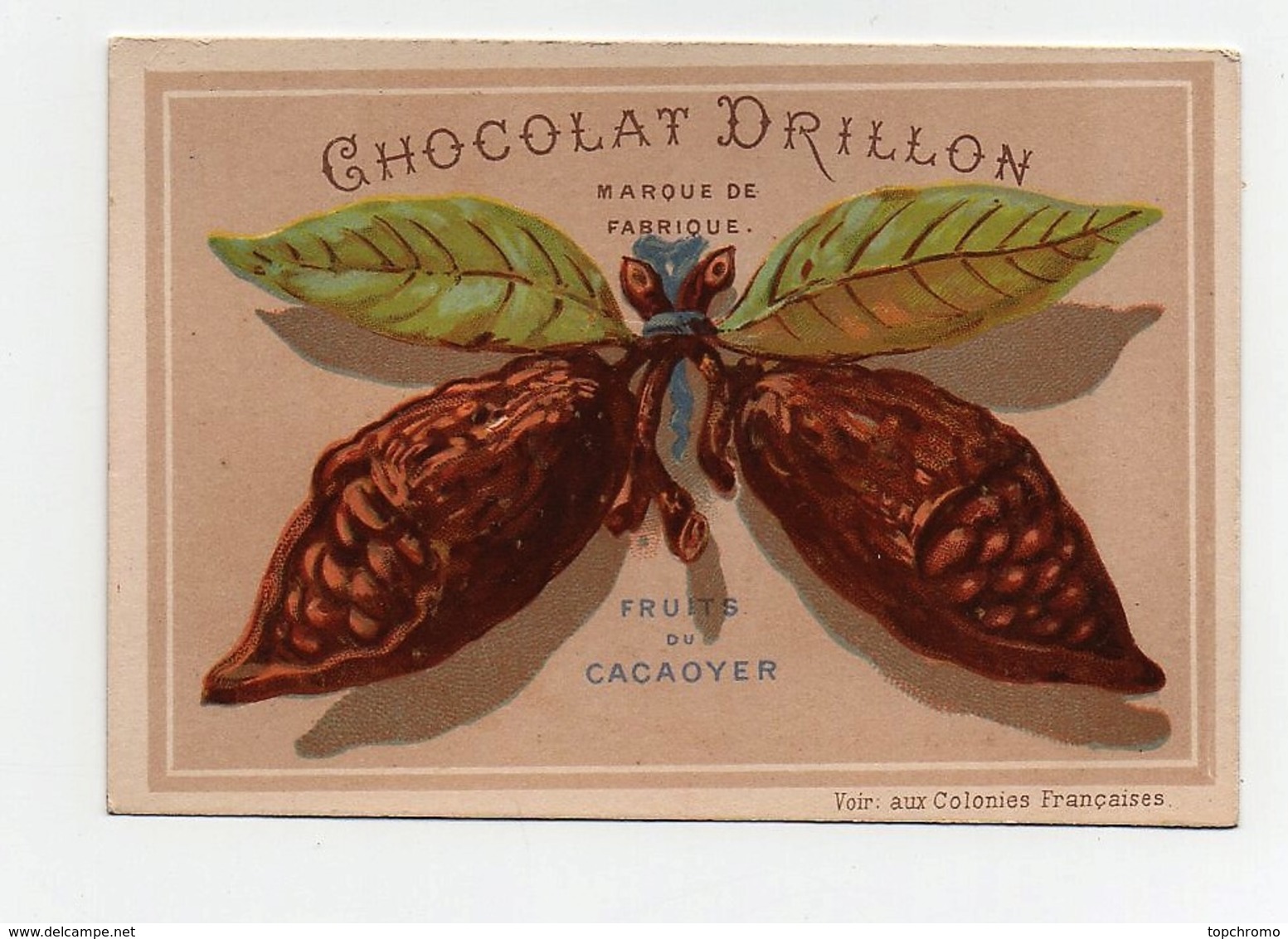 CHROMO Chocolat Drillon Usine Du Marais Paris Testu Et Massin Fruit Du Cacaoyer En Forme De Papillon - Other & Unclassified