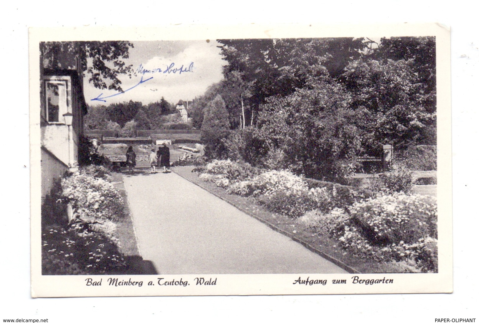 4934 BAD MEINBERG, Aufgang Zum Berggarten, 1961 - Bad Meinberg