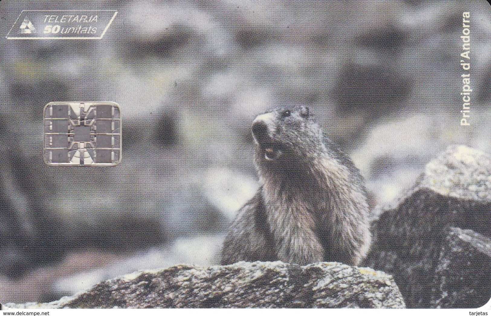 AND-049 TARJETA DE ANDORRA DE UNA MARMOTA (marca De Doblez) - Andorra