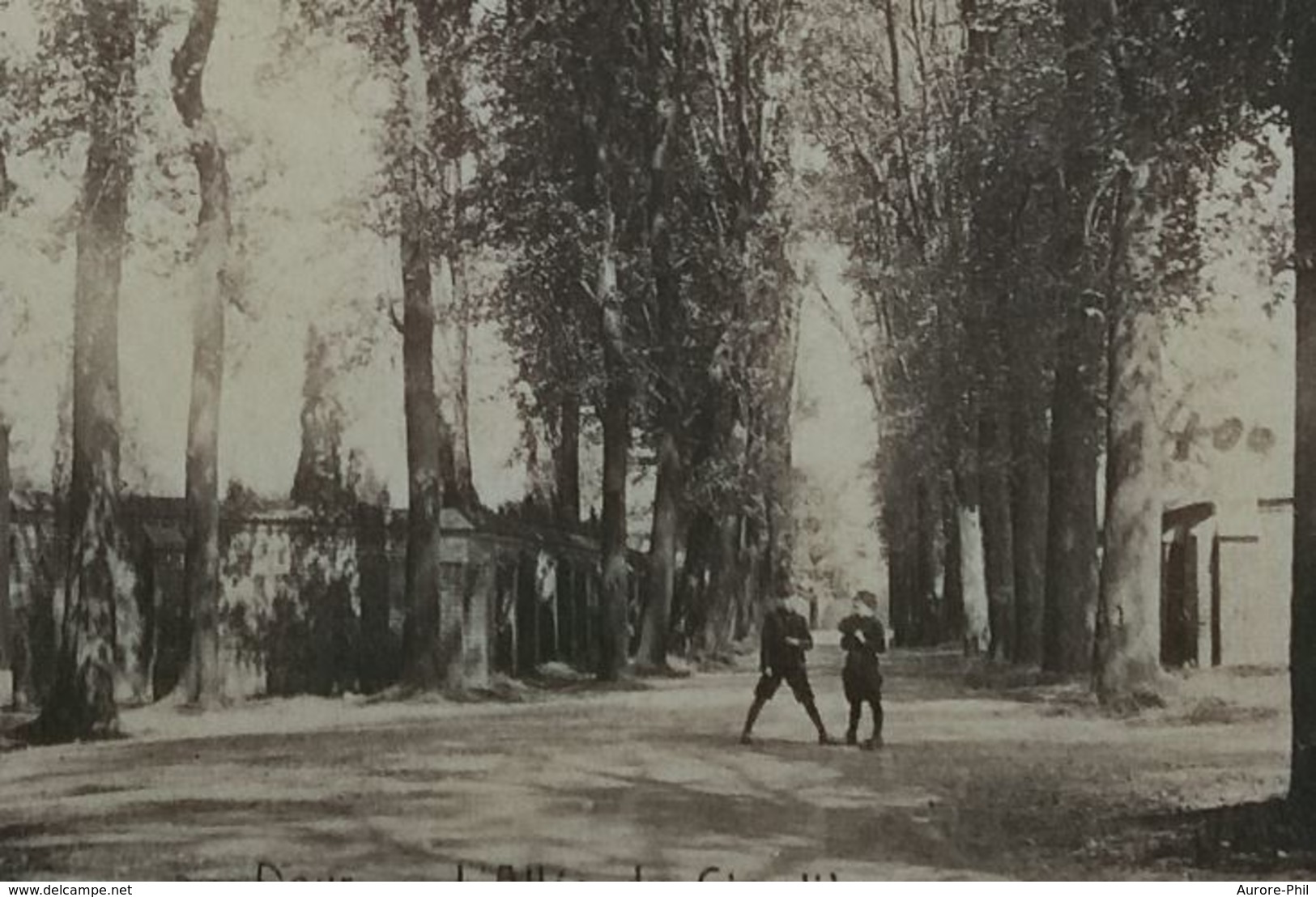 Dour L'allée Du Cimetière - Dour