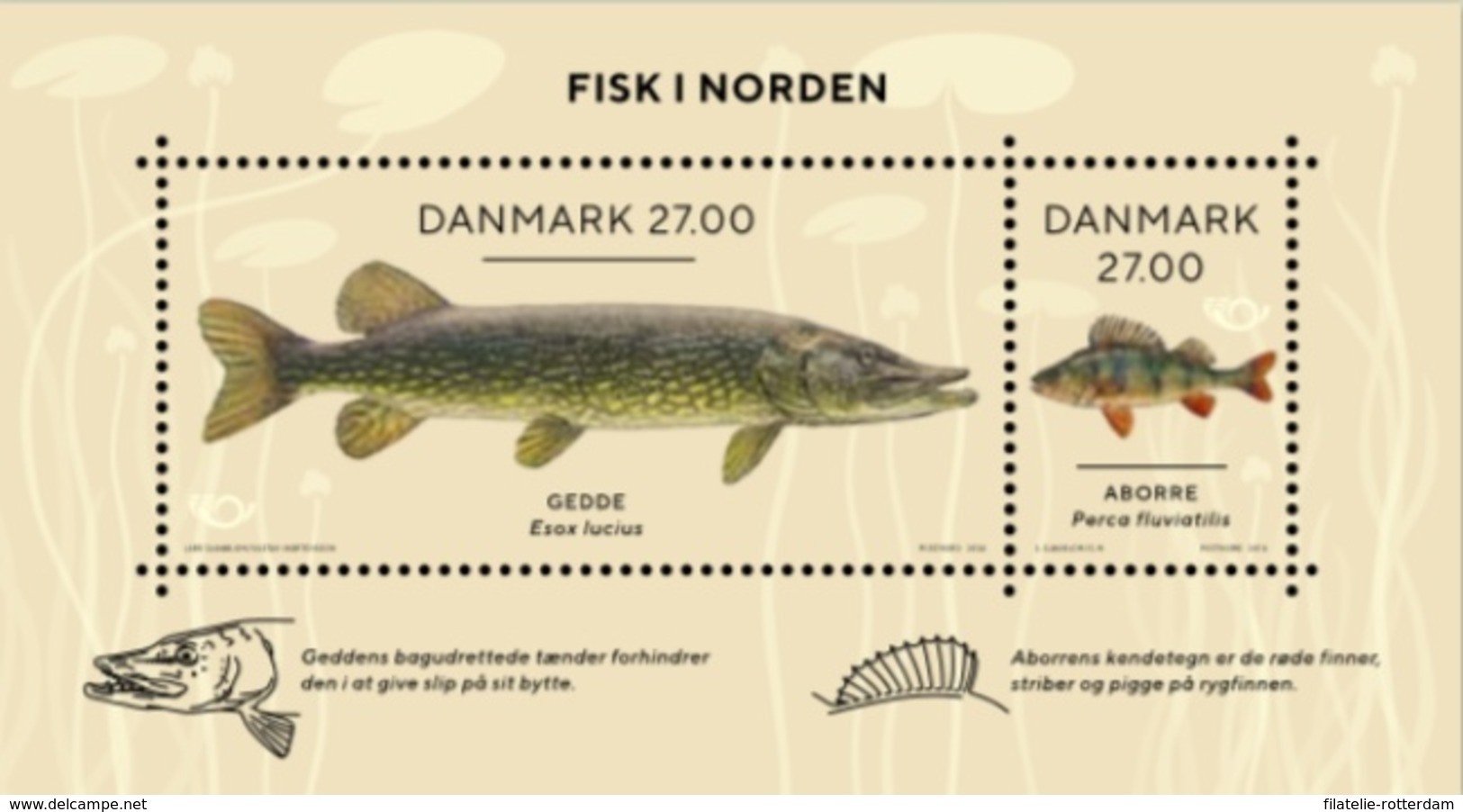 Denemarken / Denmark - Postfris/MNH - Sheet Norden, Vissen 2018 - Nuovi