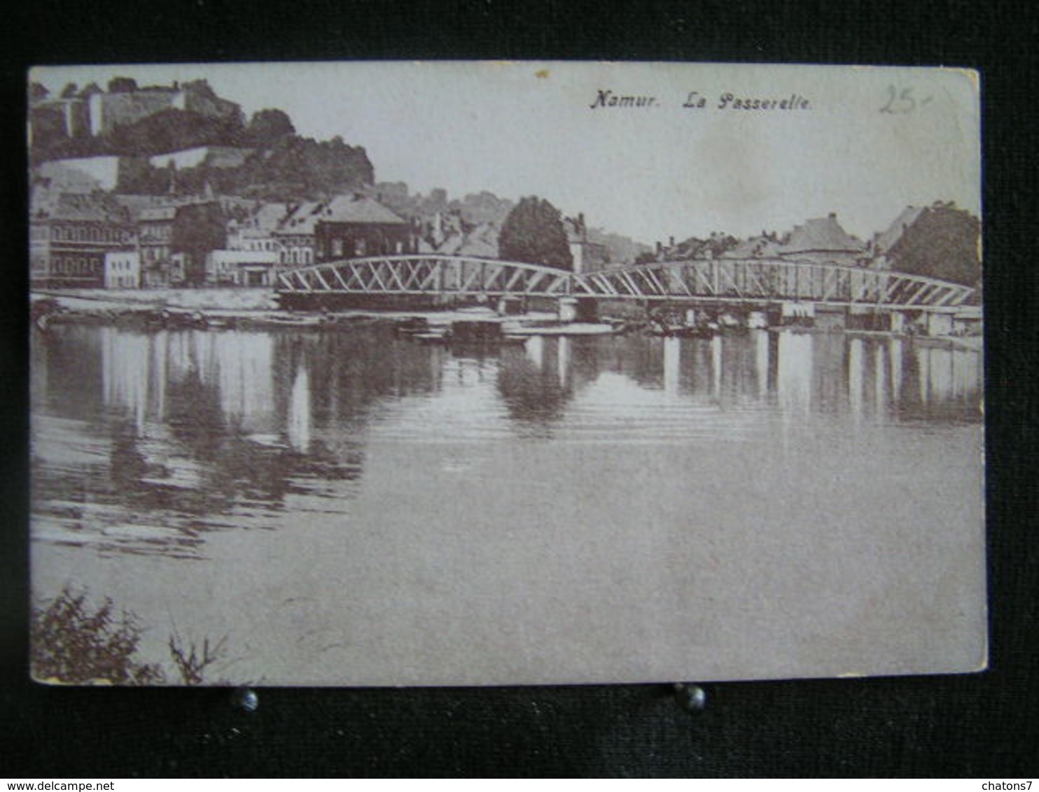 AP 4 - 289- Belgique  - Namur - La Passerelle - Pas Circulé - Hannut