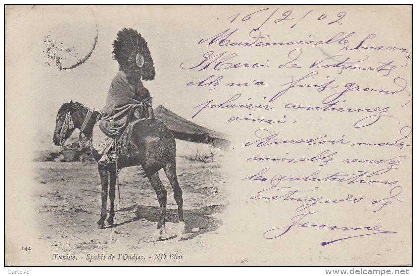 Ethniques Et Cultures - Maghreb - Tunisie - Cavalier Militaire - Spahis - 1902 - Afrique