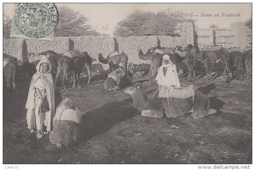 Ethniques Et Cultures - Maghreb - Algérie - Dans Un Fondouk - Caravane Dromadaires - 1906 - Africa