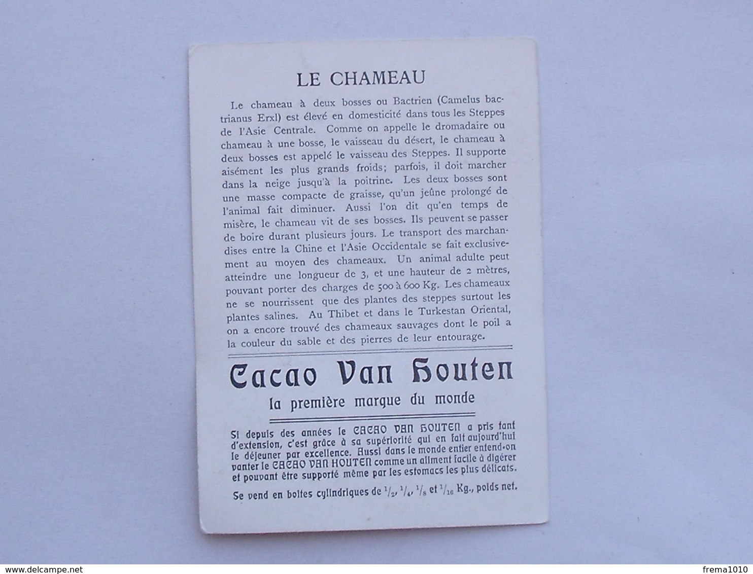 CHROMO Chocolat VAN HOUTEN Didactique Grand Format: CHAMEAU - Texte Descriptif Au Verso..... - Van Houten