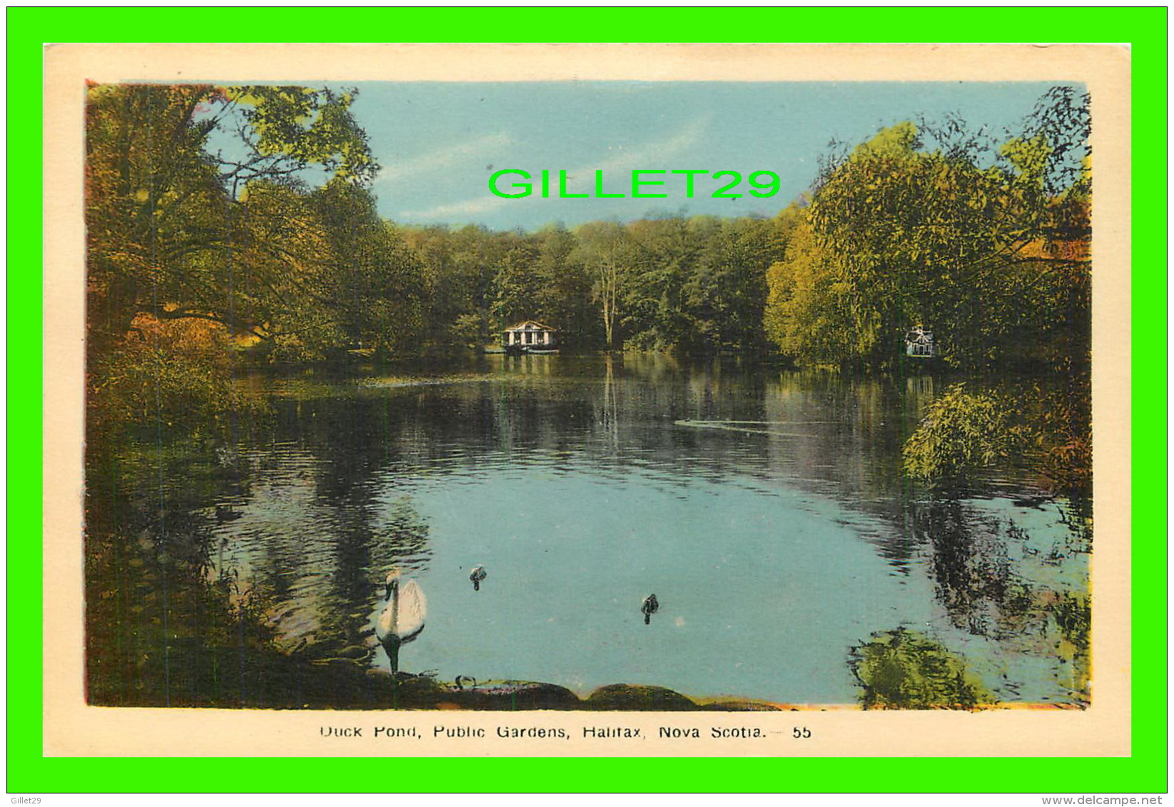 HALIFAX, NOVA SCOTIA - DUCK POND, PLUBLIC GARDENS - ANIMATED - PECO - - Halifax