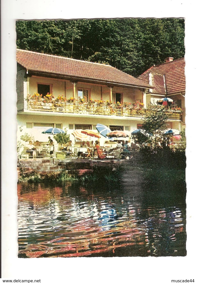 HAUS SCHWARZWALD IDYLL - OBERHARMERSBACH LOCHERBERG IM SCHWARZWALD - Oppenau