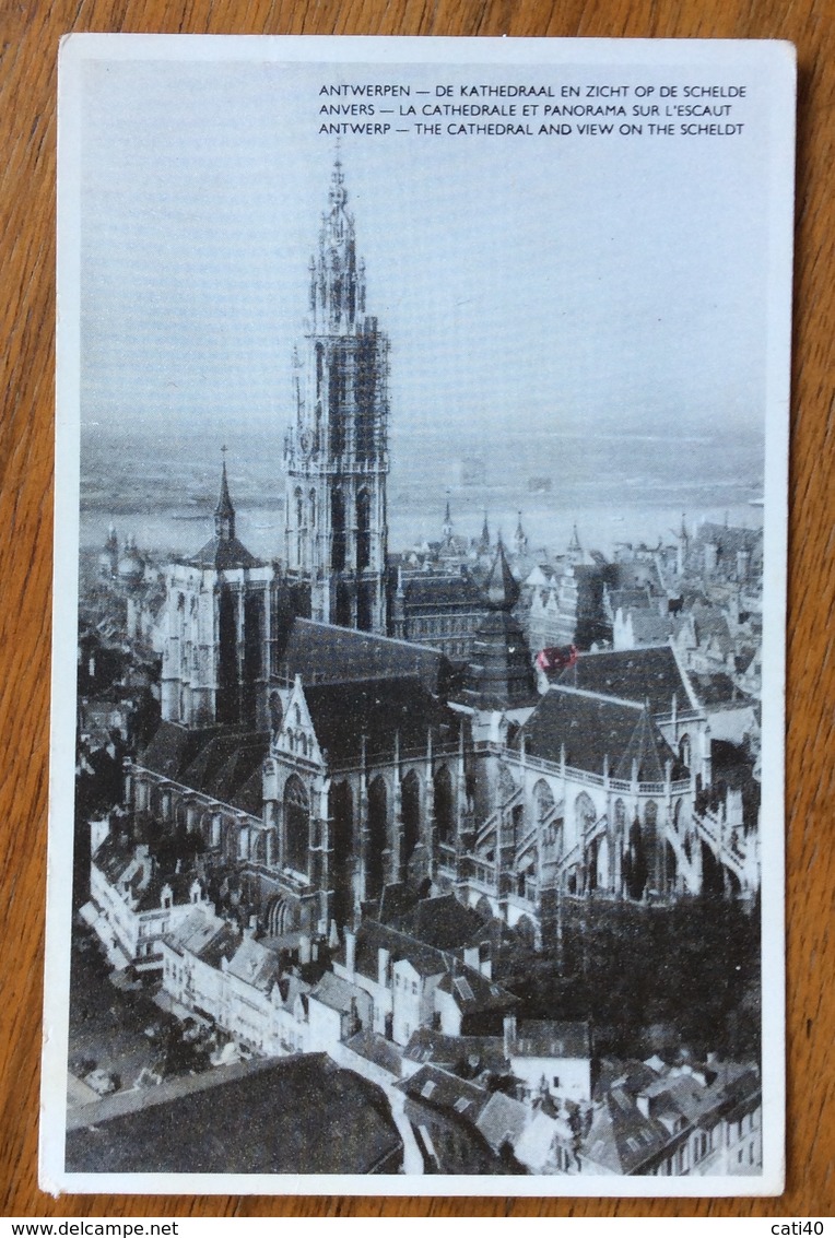 ANVERS  LA CATTEDRALE  TIMBRO PUBBLICITARIO SABENA - Altri & Non Classificati