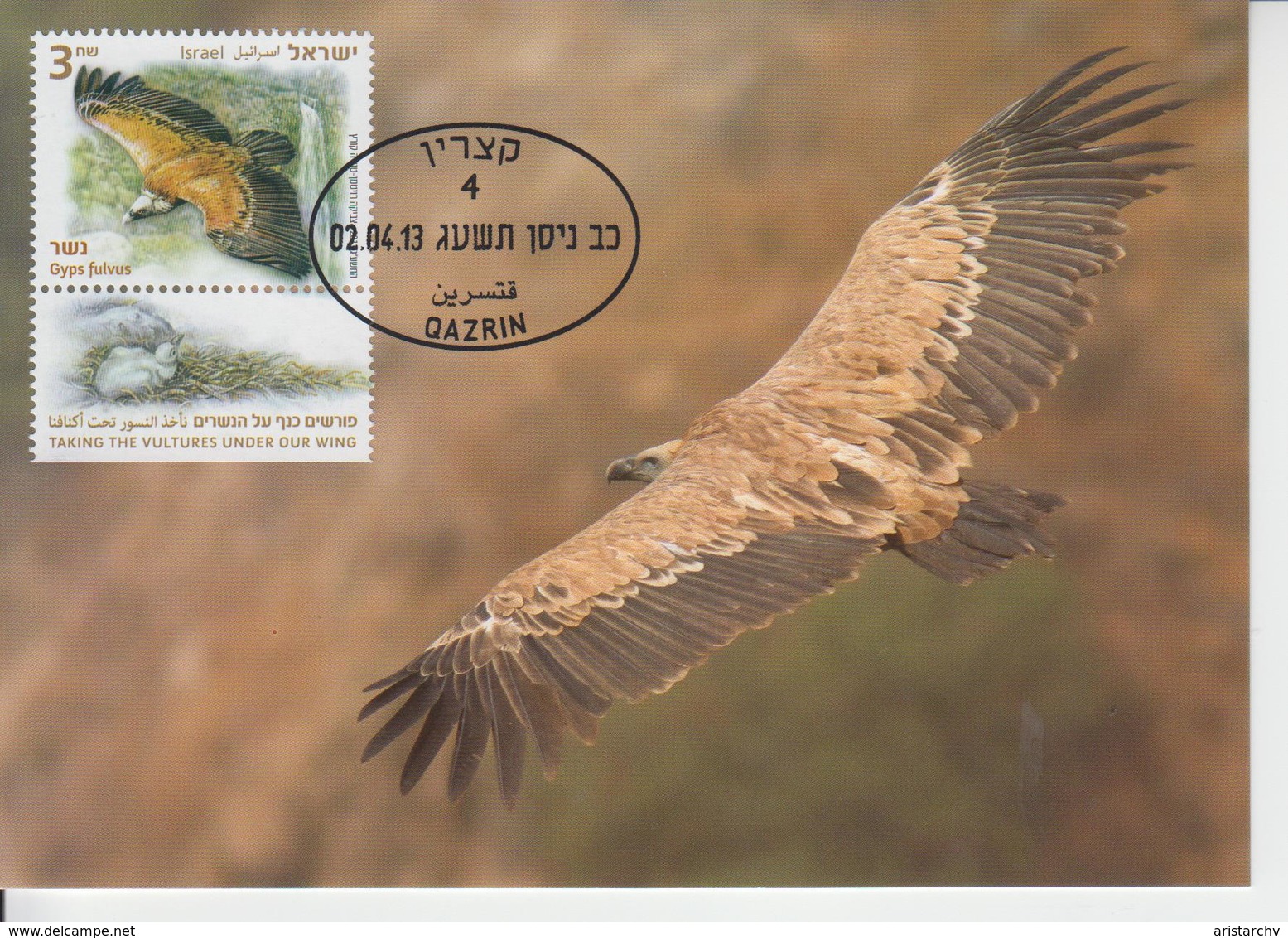 ISRAEL 2013 TAKING THE VULTURES UNDER OUR WING EAGLE HOWK 3 MAXIMUM CARDS - Maximumkaarten