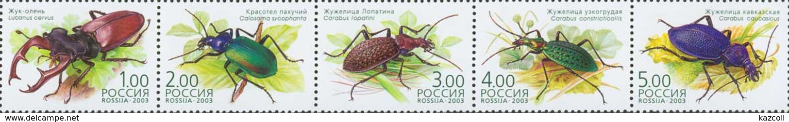 Russia  2003. Beetles. Fauna.  MNH - Ungebraucht