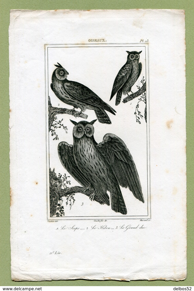 RAPACES : " LE SCOPS - LE HIBOU - LE GRAND DUC " - Prints & Engravings