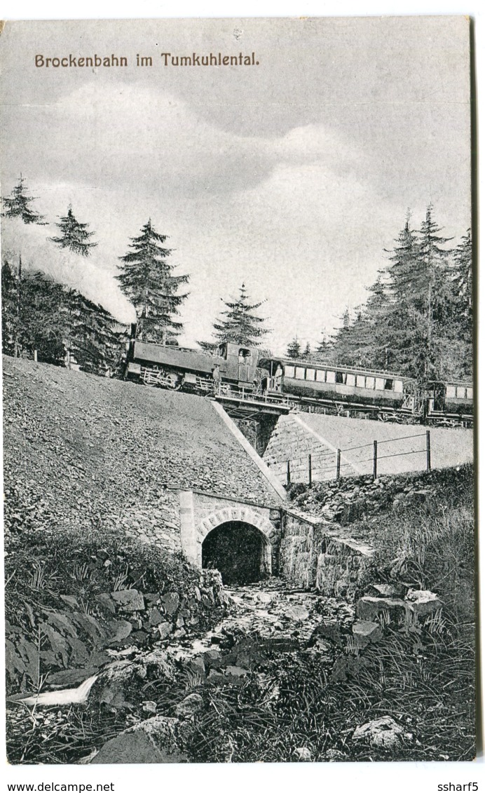 Brockenbahn Tumkuhlental Bergbahn Mit ZUG Auf Brücke BROCKEN Hotel Um 1908 - Braunschweig