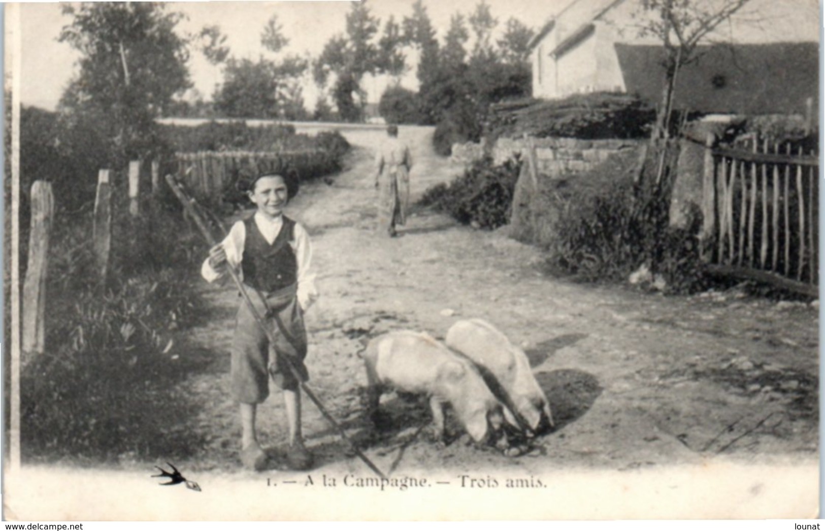 A La Campagne - Trois Amis - Cochons - Agriculture - Ferme (pliée) - Autres & Non Classés