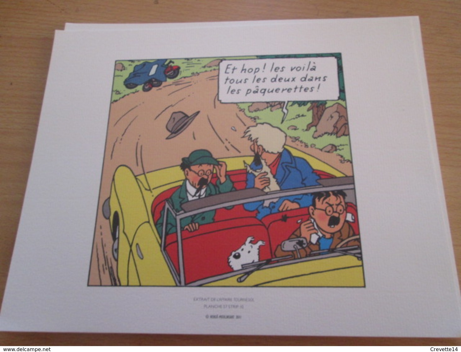 TIRE A PART 2010 DE TINTIN HERGE Par Les EDITIONS MOULINSART Sur Papier épais 24cm X 19.3 Env . TTB état - Screen Printing & Direct Lithography