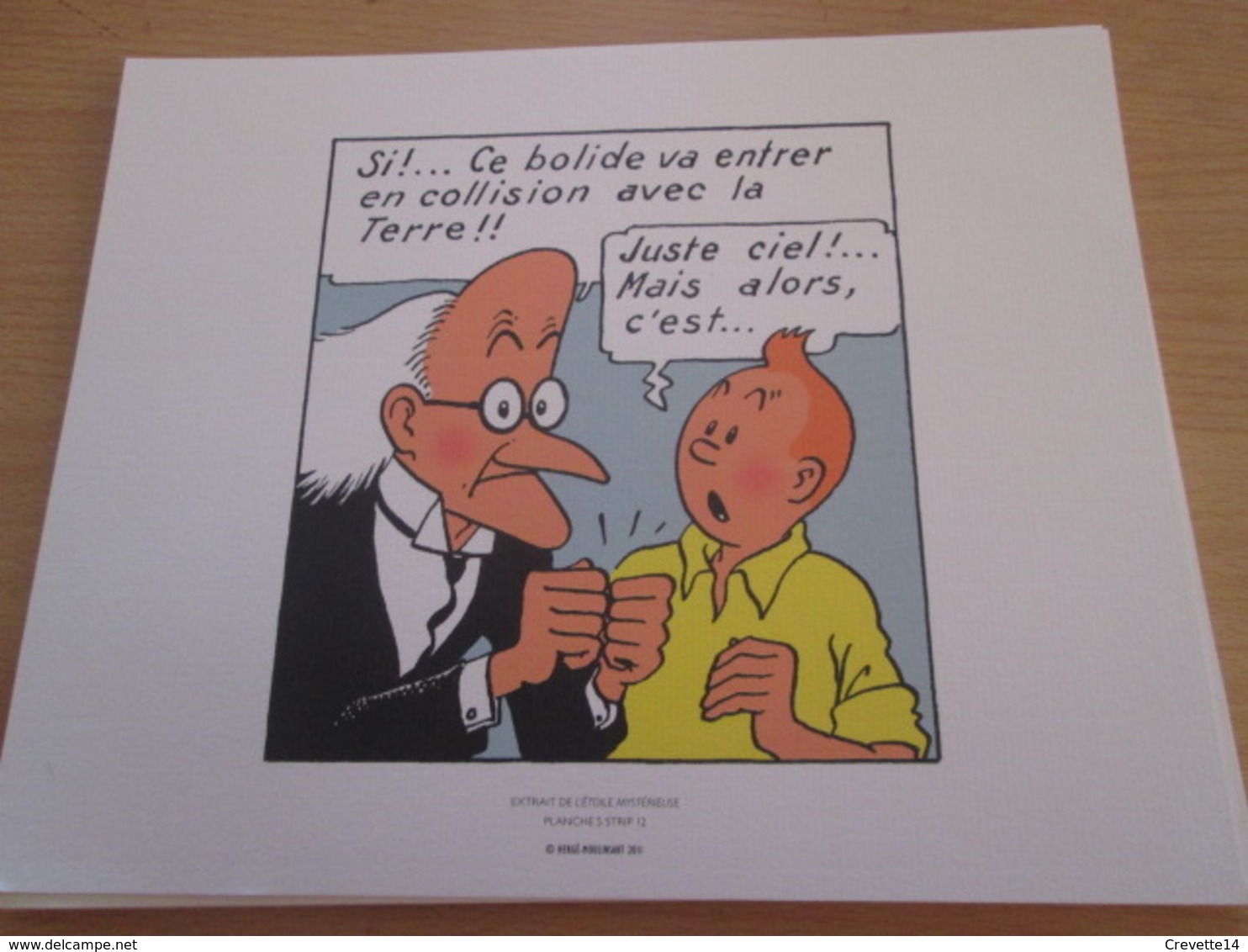 TIRE A PART 2010 DE TINTIN HERGE Par Les EDITIONS MOULINSART Sur Papier épais 24cm X 19.3 Env . TTB état - Sérigraphies & Lithographies