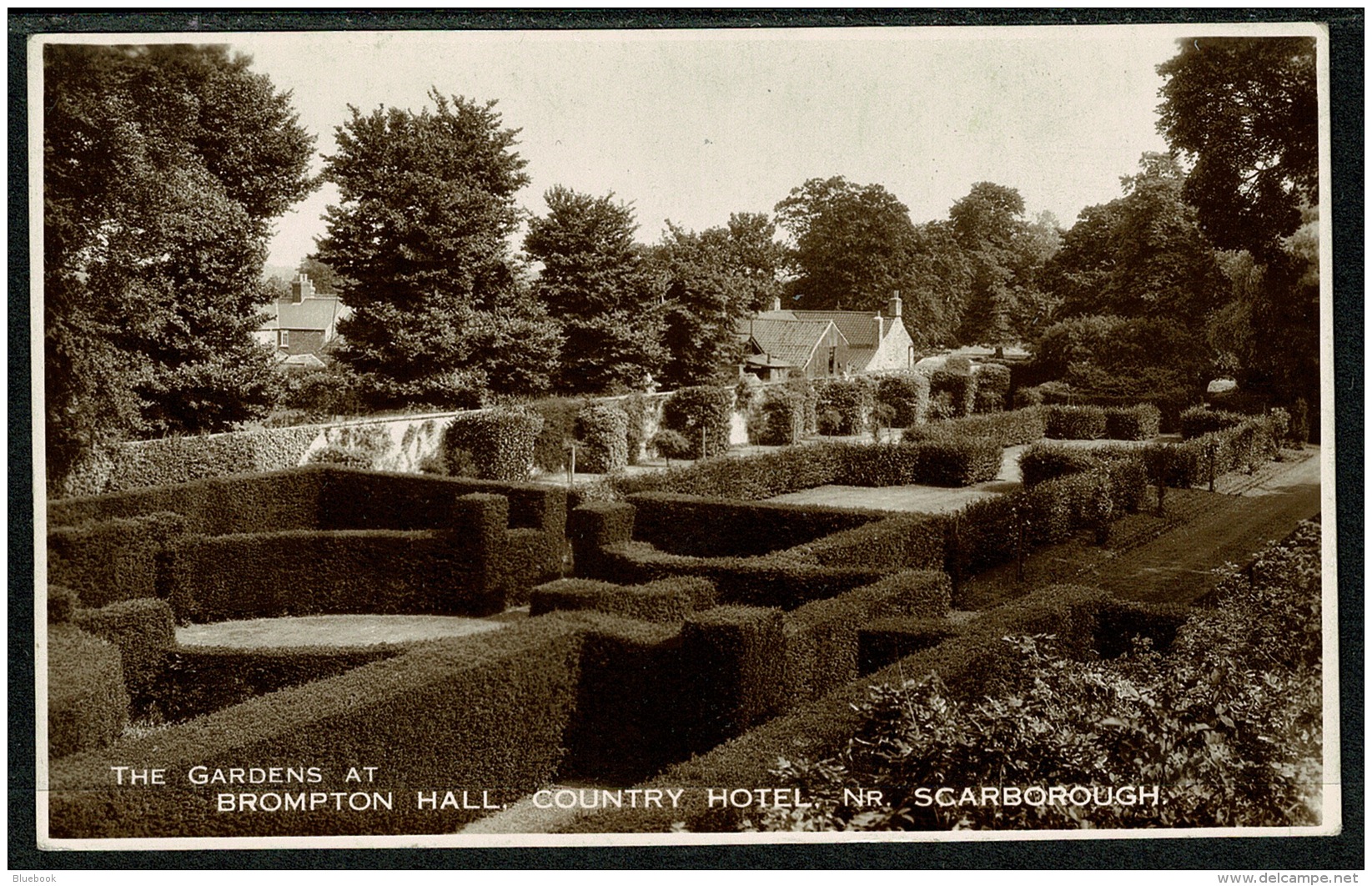 RB 1207 - Walter Scott Real Photo Postcard - Brompton Hall Hotel Gardens Near Scarborough Yorkshire - Scarborough