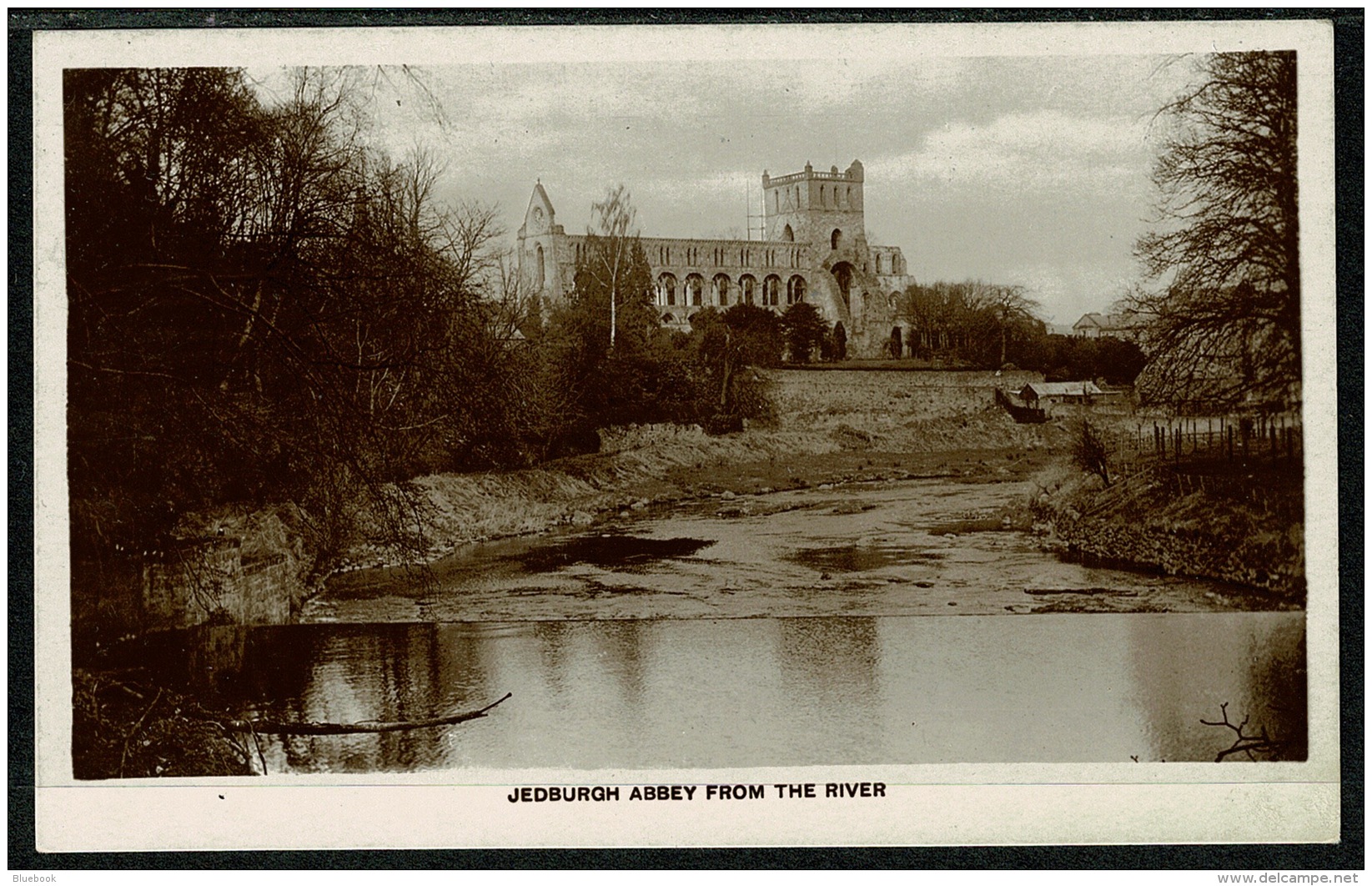 RB 1207 - Real Photo Postcard - Jedburgh Abbey From The River - Scotland - Roxburghshire
