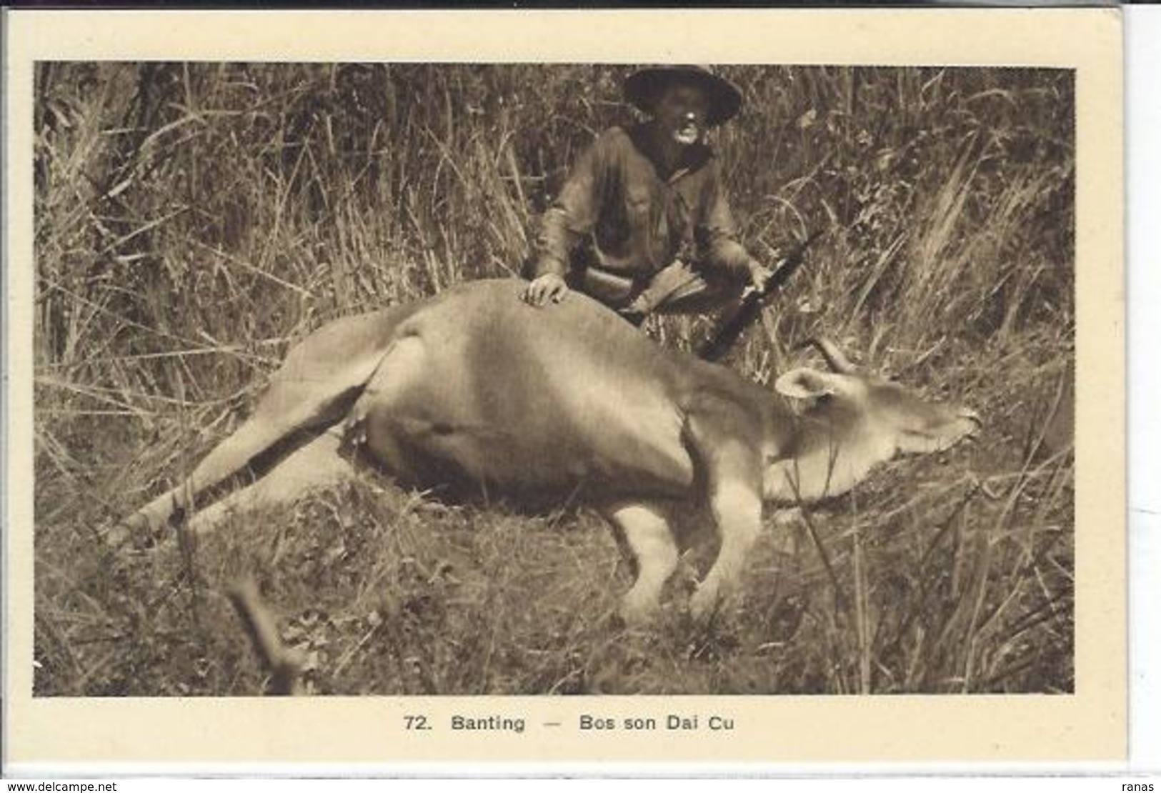 CPA Chasse Chasseur Saïgon Indochine Non Circulé - Non Classés