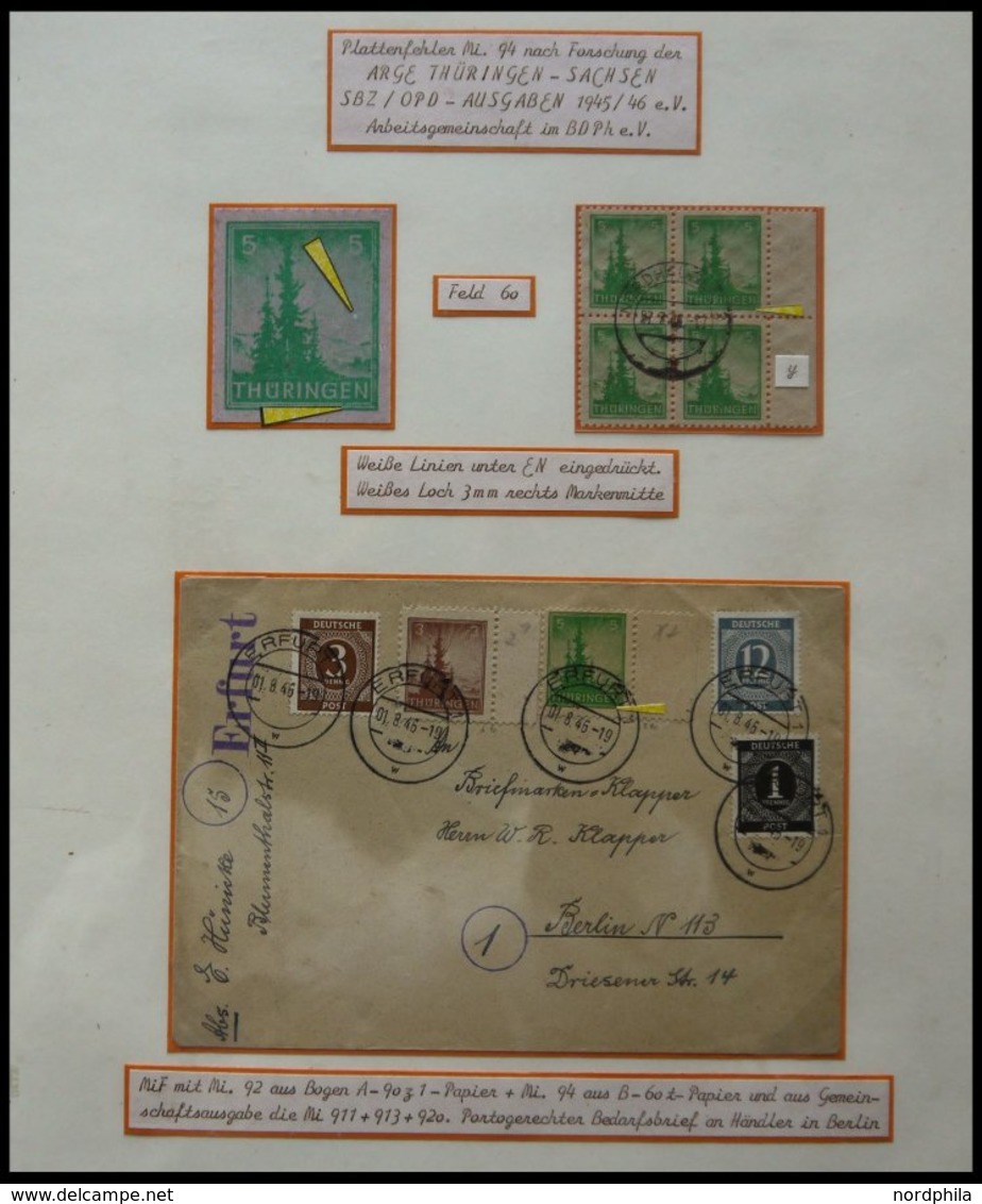 THÜRINGEN 94 **,o,Brief,* , Ausstellungssammlung 5 Pf. Tannen Im Thüringer Wald, Spezialisiert Nach Papieren, Farben Und - Sonstige & Ohne Zuordnung